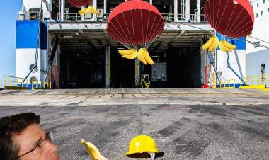 Presidente dell'Autorità Portuale Di Maio